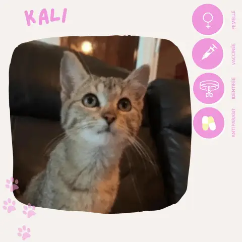 Kali