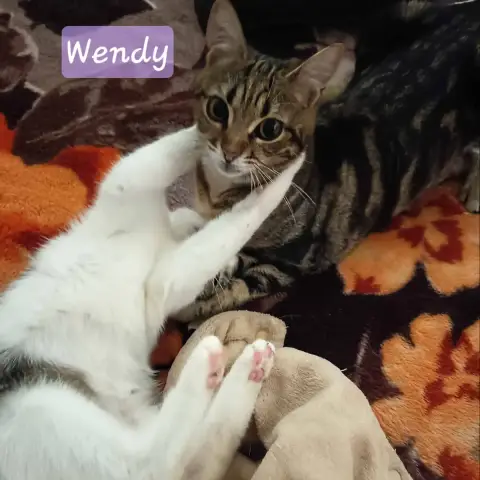 Wendy photo 3