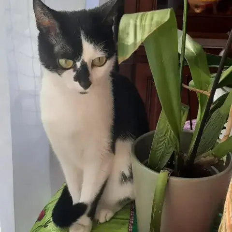 Zoe