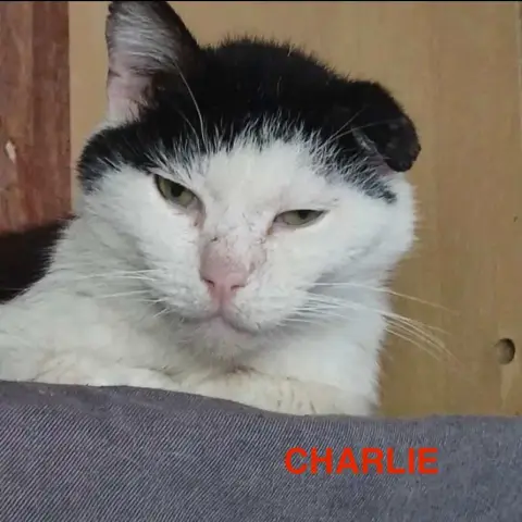 Charlie