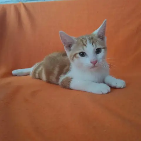 Bébé photo 2