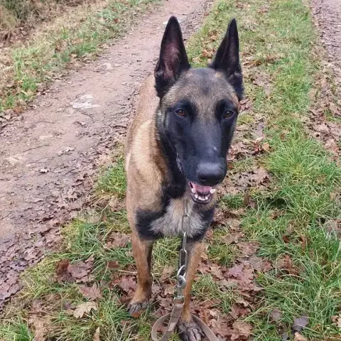 Maya photo 3