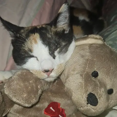 Mia photo 3