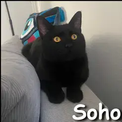 Soho