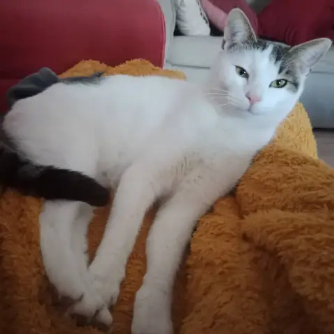 Sam