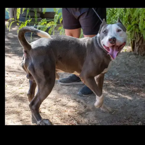 Arturo photo 3