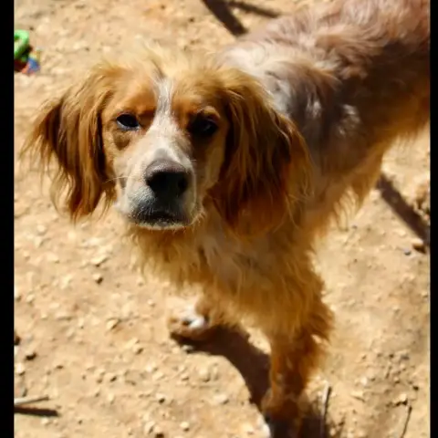 Max photo 2