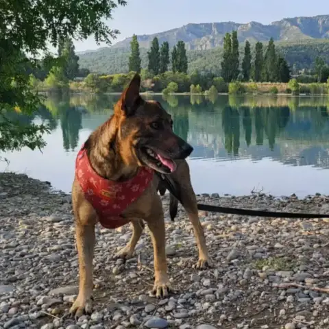 Pepsi En Fa photo 2