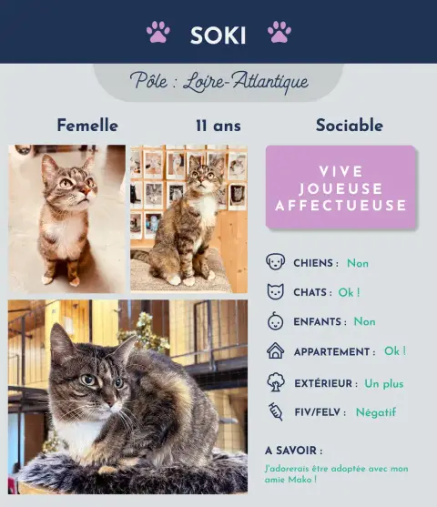 Soki
