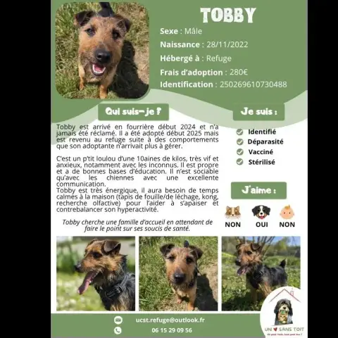 Tobby