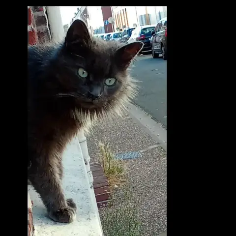 Beauté
