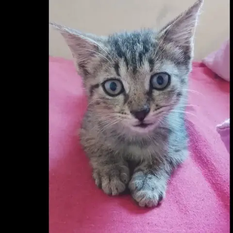 Zoe