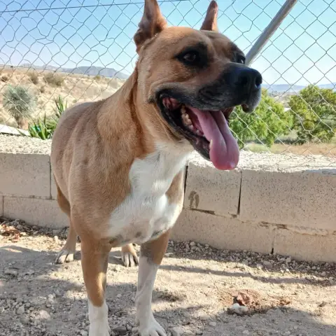 Tadeo photo 2