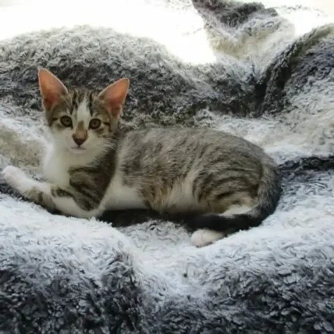Beca photo 2