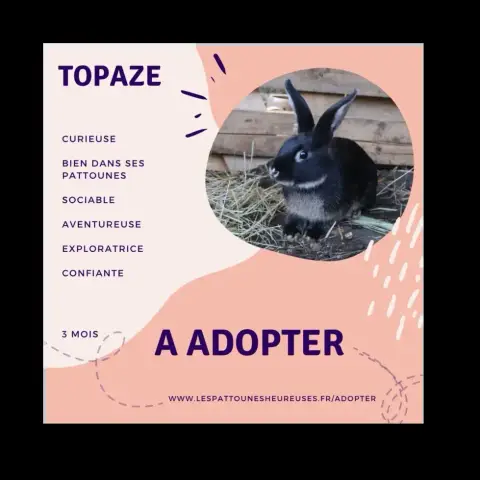 Topaze