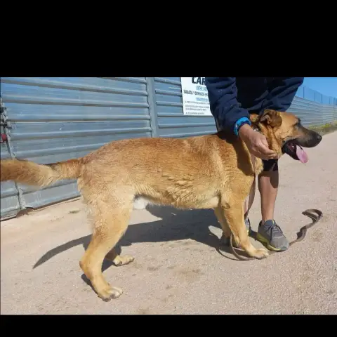 Toby photo 2