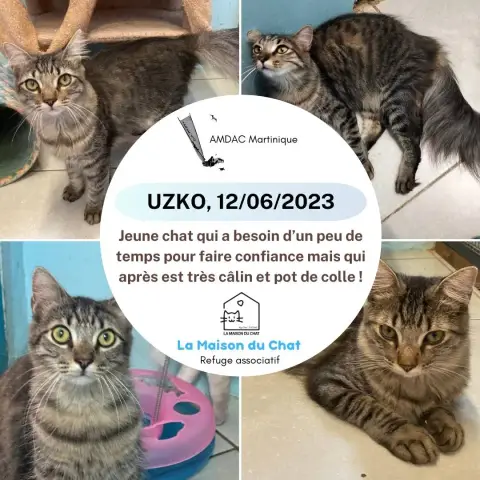 Uzko