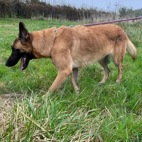 Bella photo 2