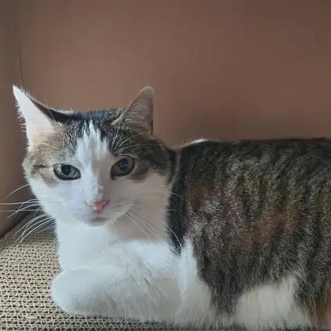 Tuffy photo 2