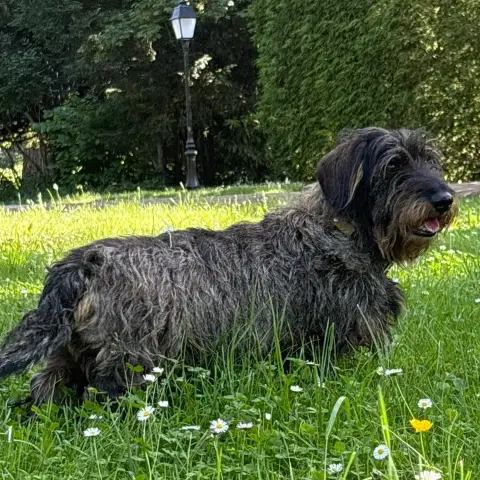 Luigi photo 3