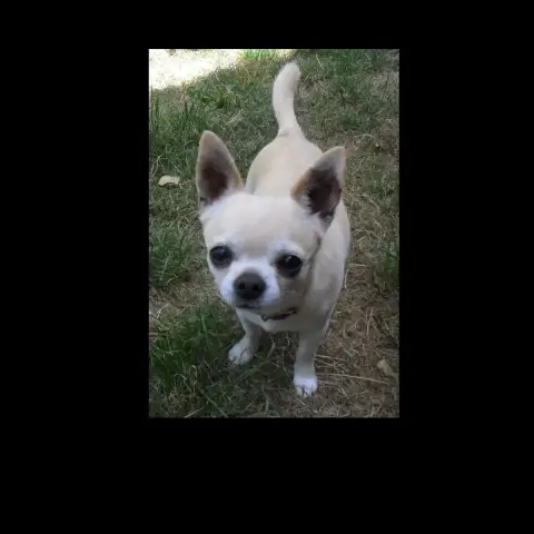 Oscar
