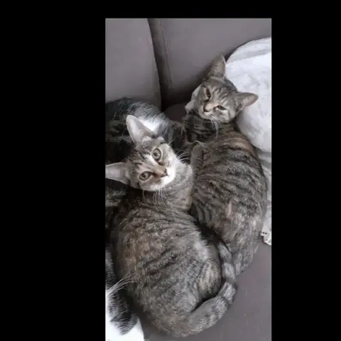 Thelma Et Teresa