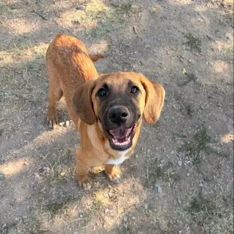 Lailo