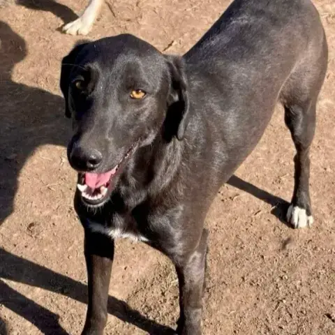 Dora photo 2