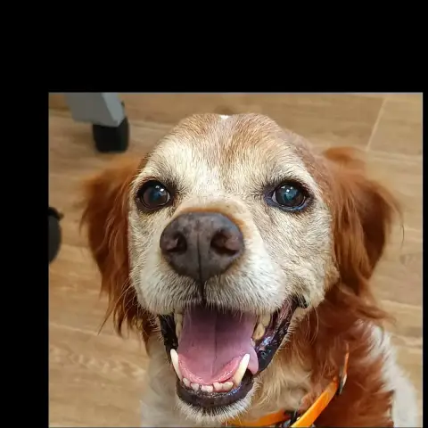 Bandit photo 2