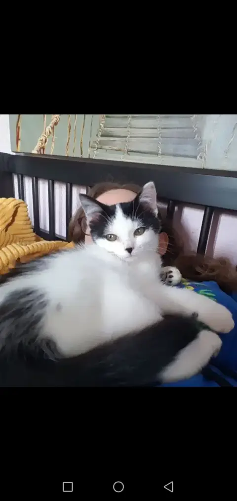Miette photo 2