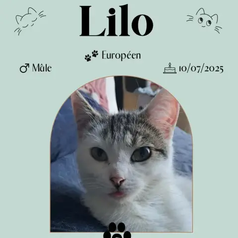 Lilo