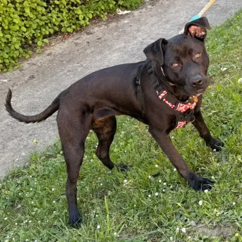 Athena photo 2