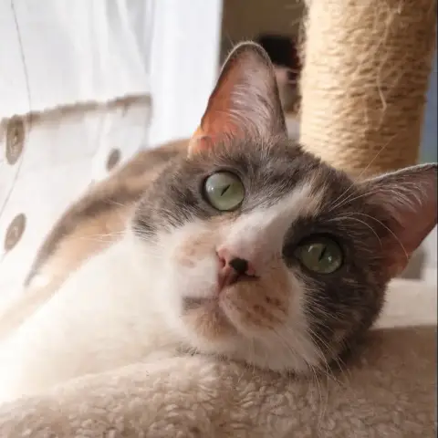 Luna