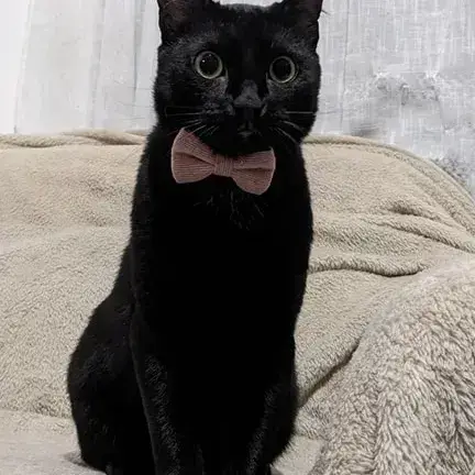 Zora