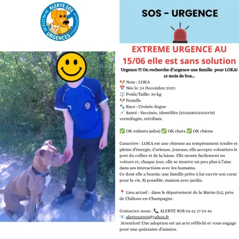 Loka Urgent Appele À L'Aide... photo 3