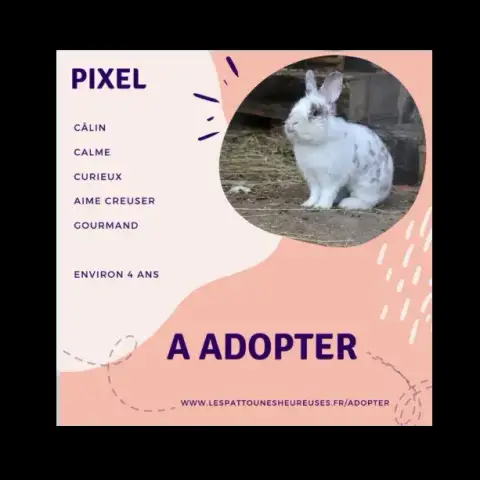 Pixel