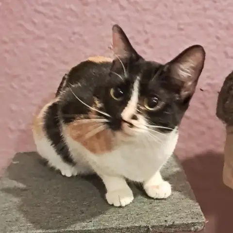 Xéna photo 3
