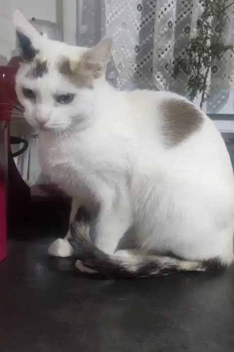 Zoe