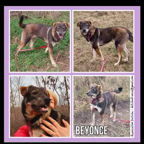 Beyonce