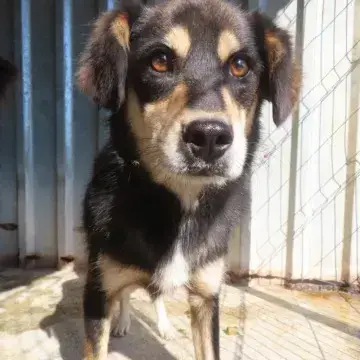 Tayzen photo 2