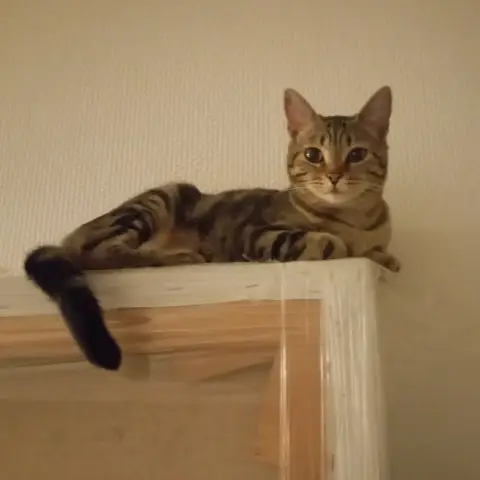 Athena