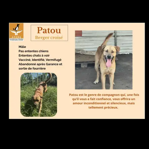 Patou