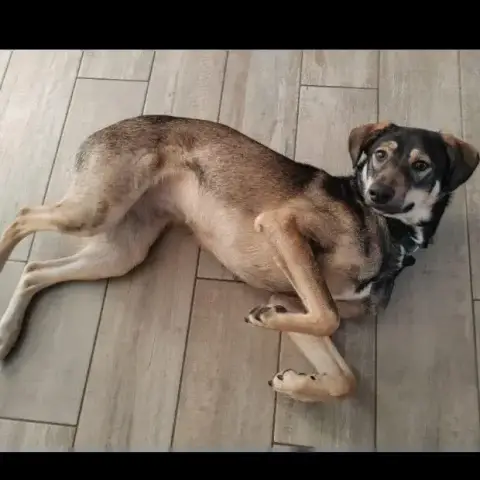Skye