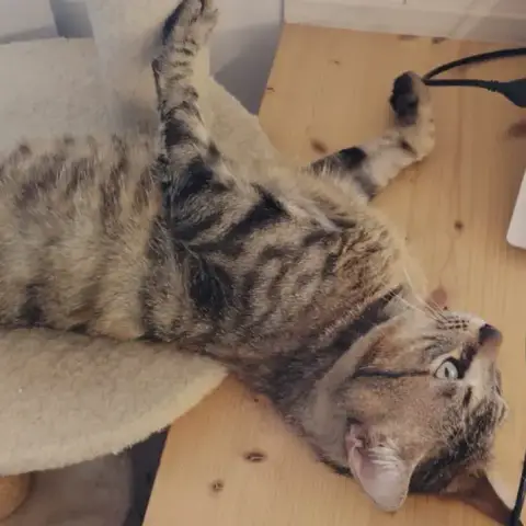Léo