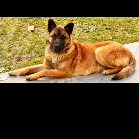 Uxie photo 3