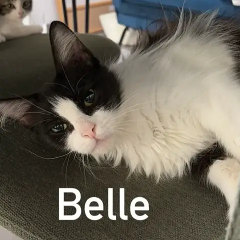 Belle Boo Beach