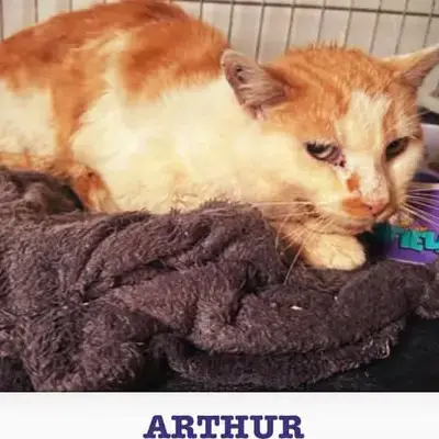 Arthur