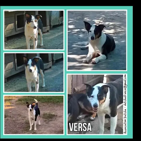 Versa