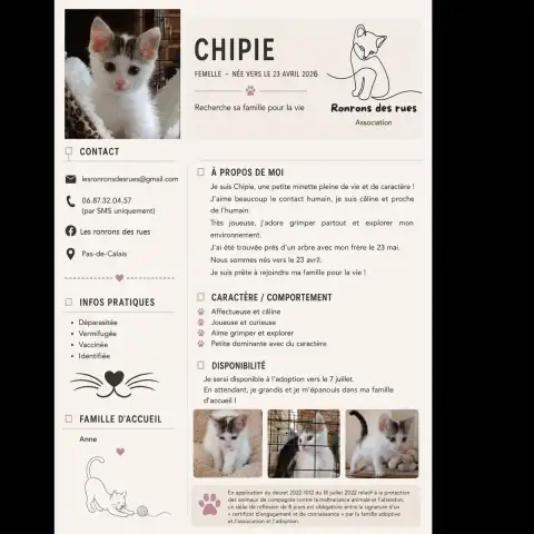 Chipie photo 3