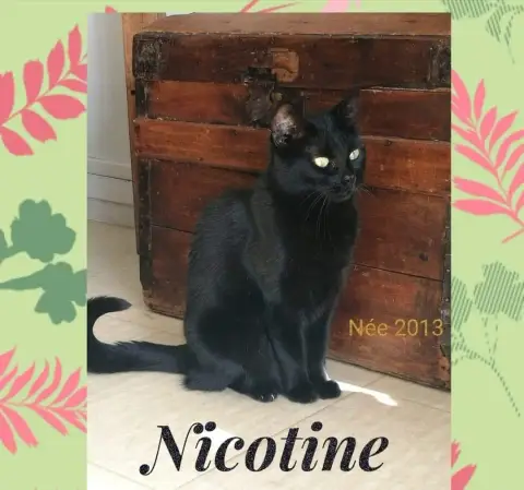 Nicotine